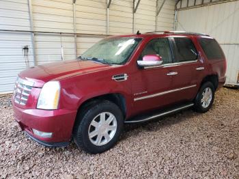  Salvage Cadillac Escalade