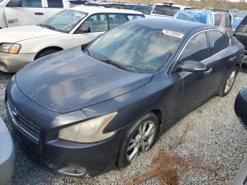  Salvage Nissan Maxima