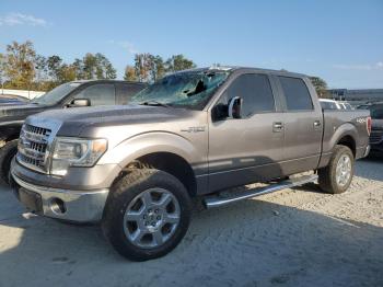  Salvage Ford F-150