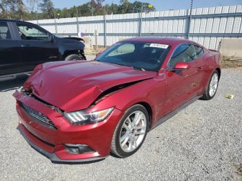  Salvage Ford Mustang