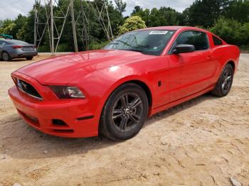  Salvage Ford Mustang