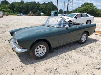  Salvage Sunb Alpine