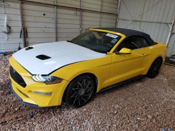  Salvage Ford Mustang