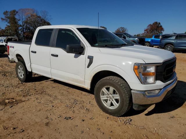 Ford F-150 Supercrew Image 3