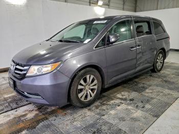  Salvage Honda Odyssey