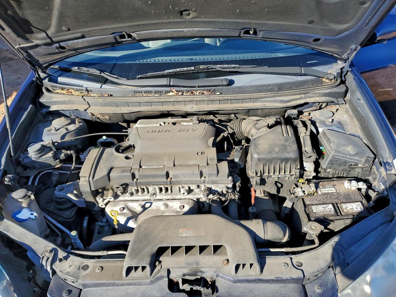 Hyundai ELANTRA Blue Image 12