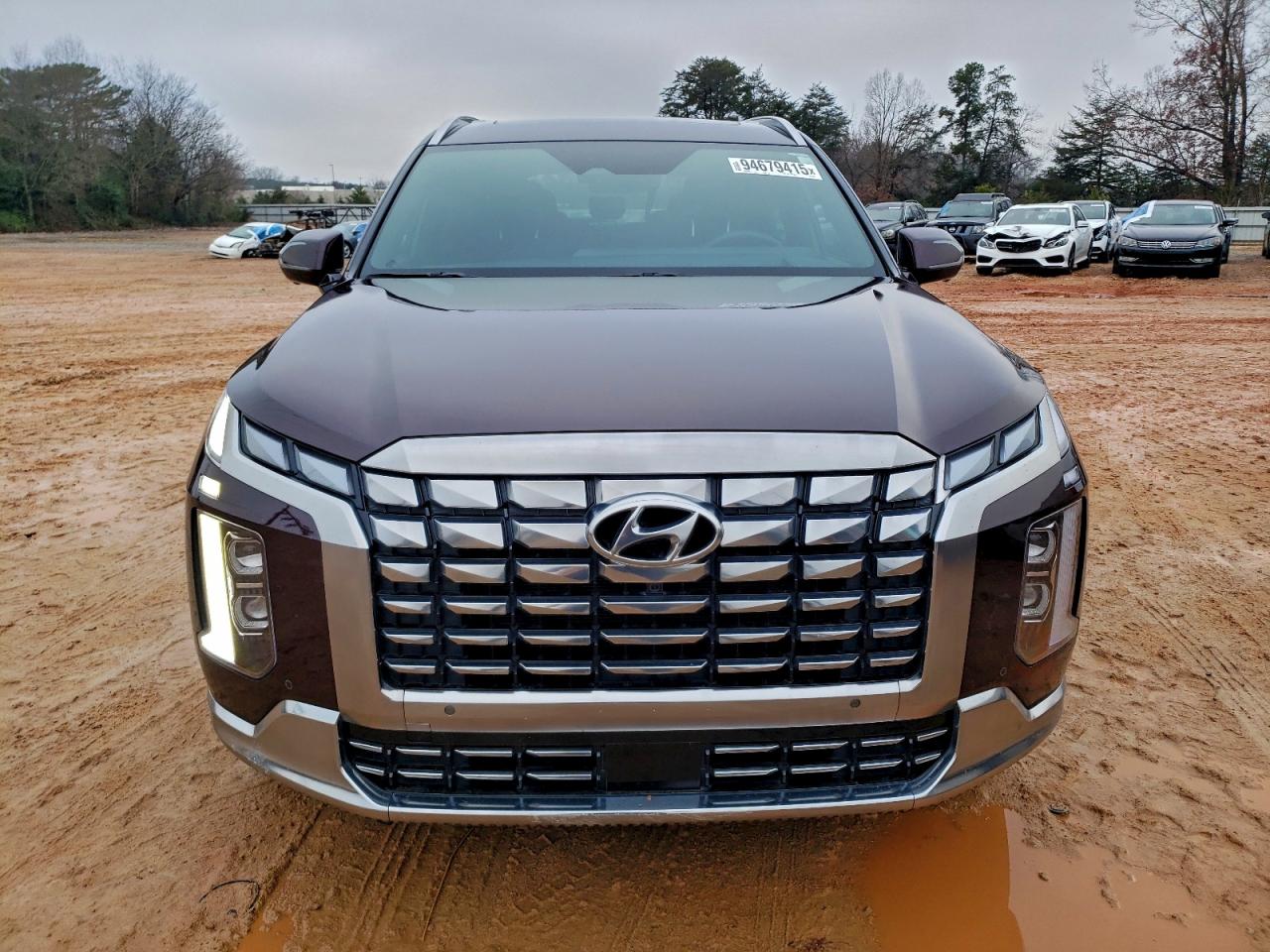 Hyundai PALISADE Calligraphy Image 7