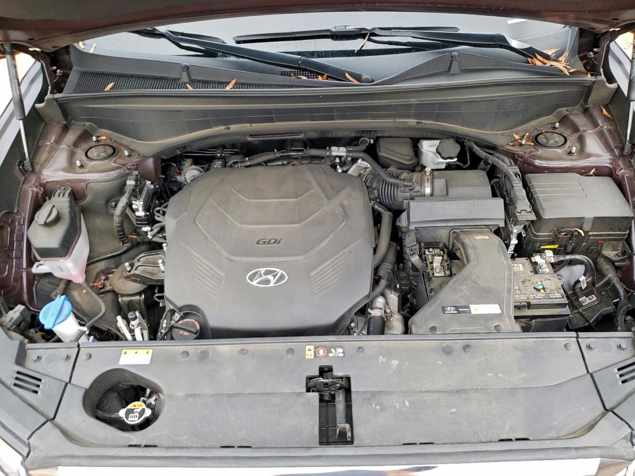 Hyundai PALISADE Calligraphy Image 5