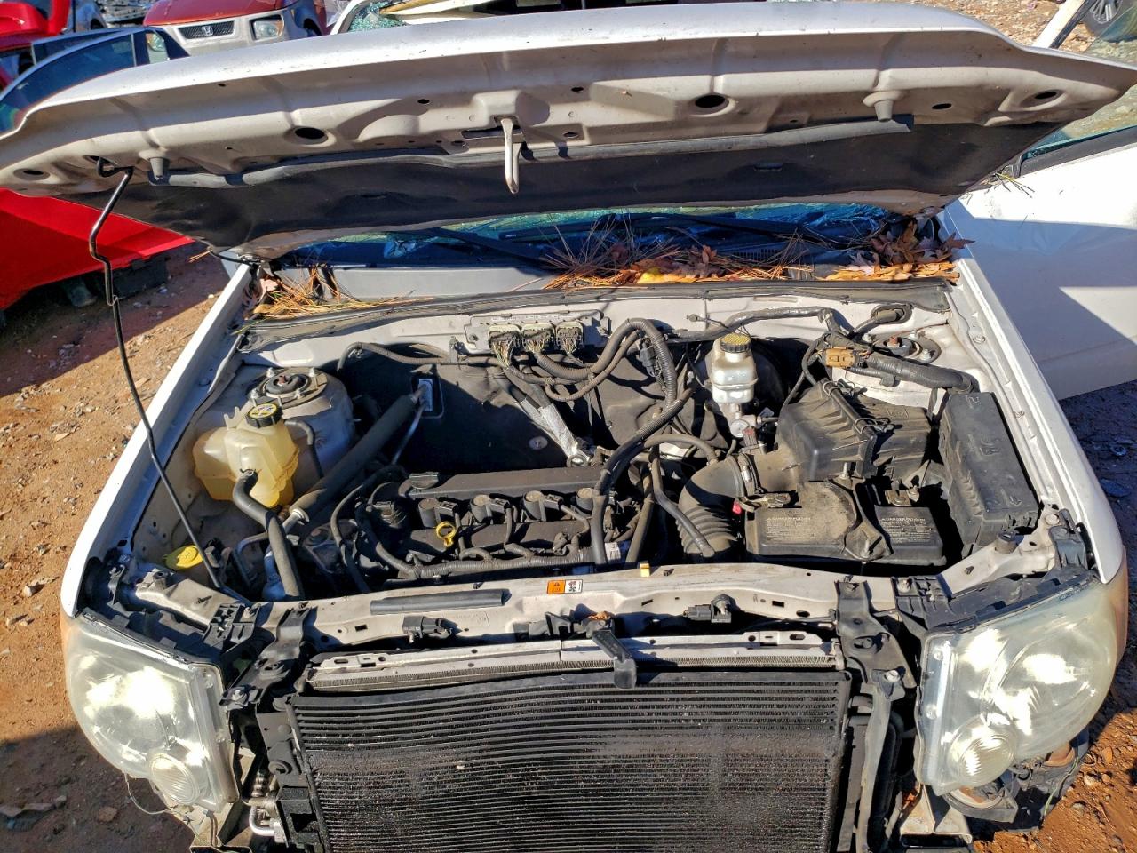 Ford Escape Xlt Image 9