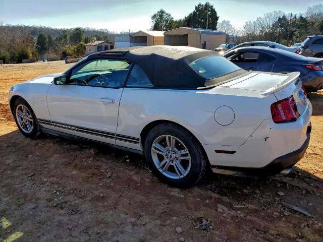 Ford Mustang Image 4