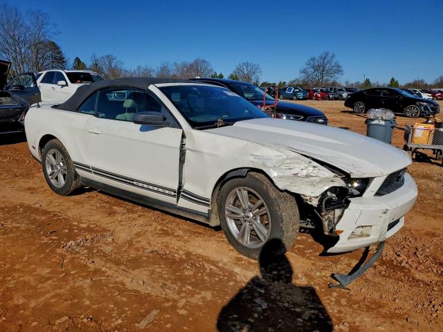 Ford Mustang Image 3