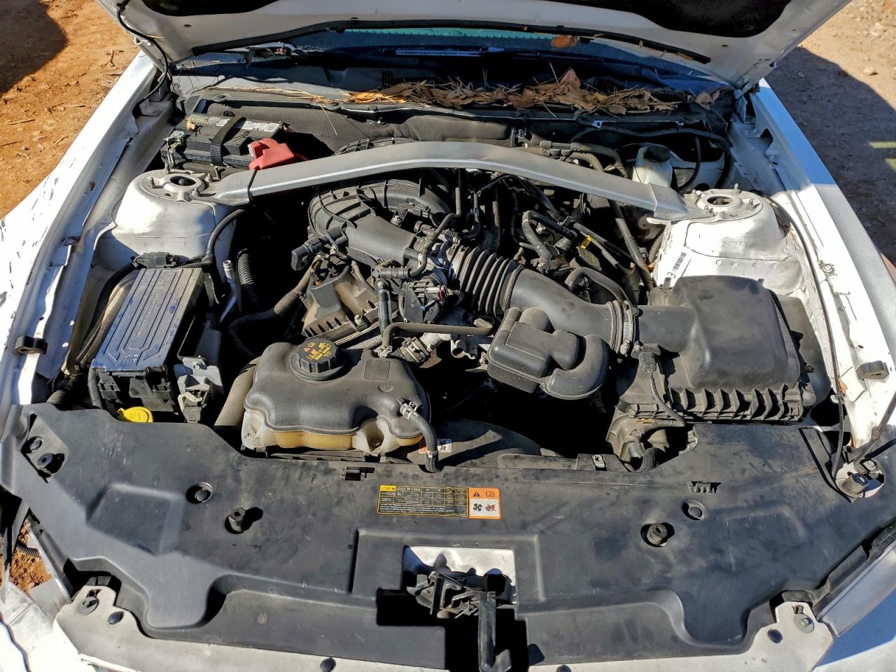 Ford Mustang Image 8