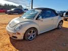 Volkswagen Beetle Convertible Option Package 2 Image 1