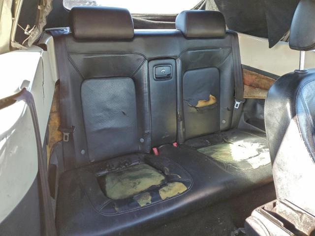 Volkswagen Beetle Convertible Option Package 2 Image 11