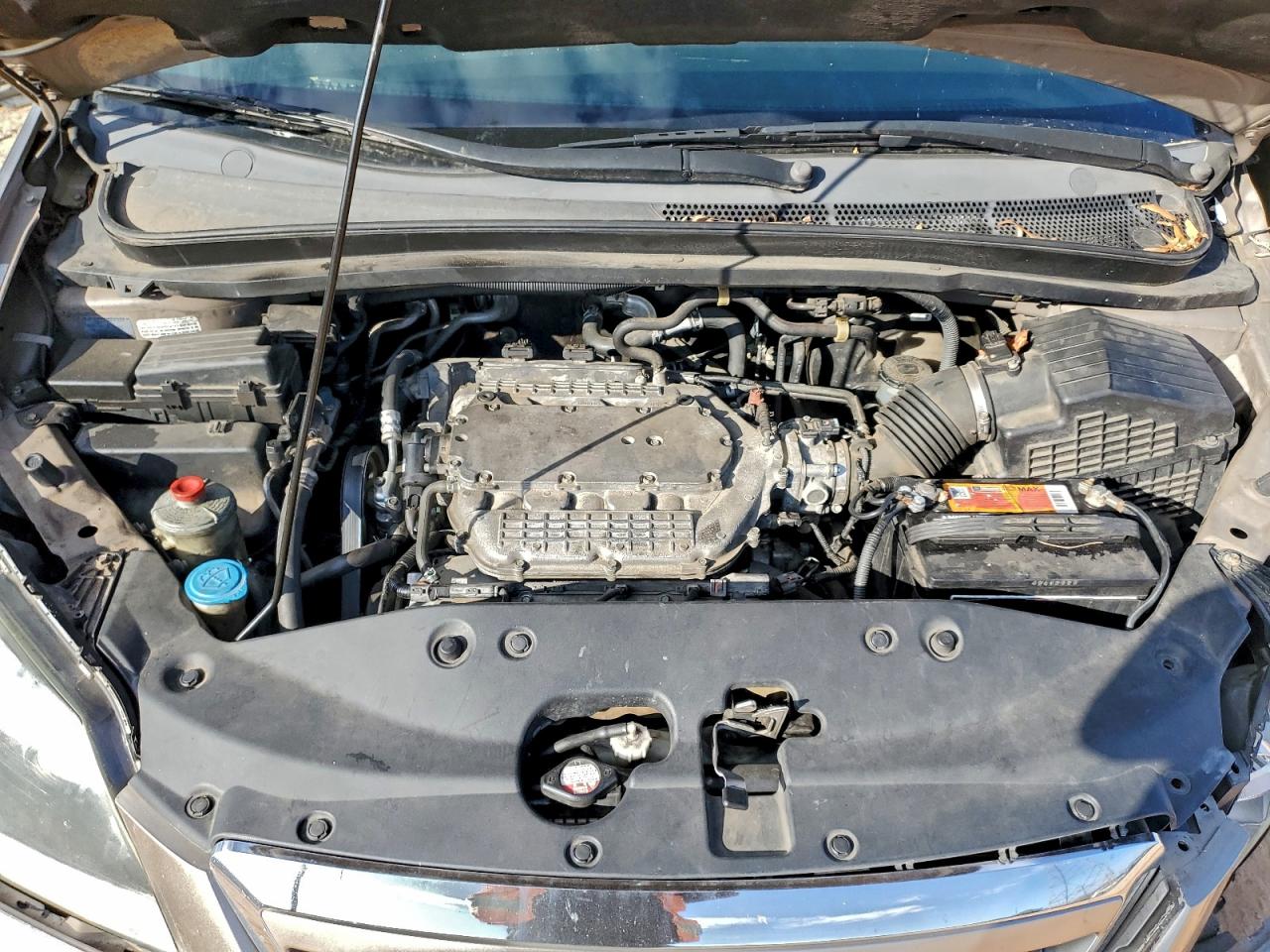 Honda Odyssey Exl Image 13