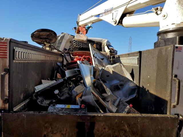 Peterbilt 536 Image 7